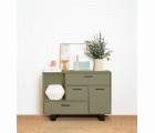 CHALK PAINT CP-31 AGAVE